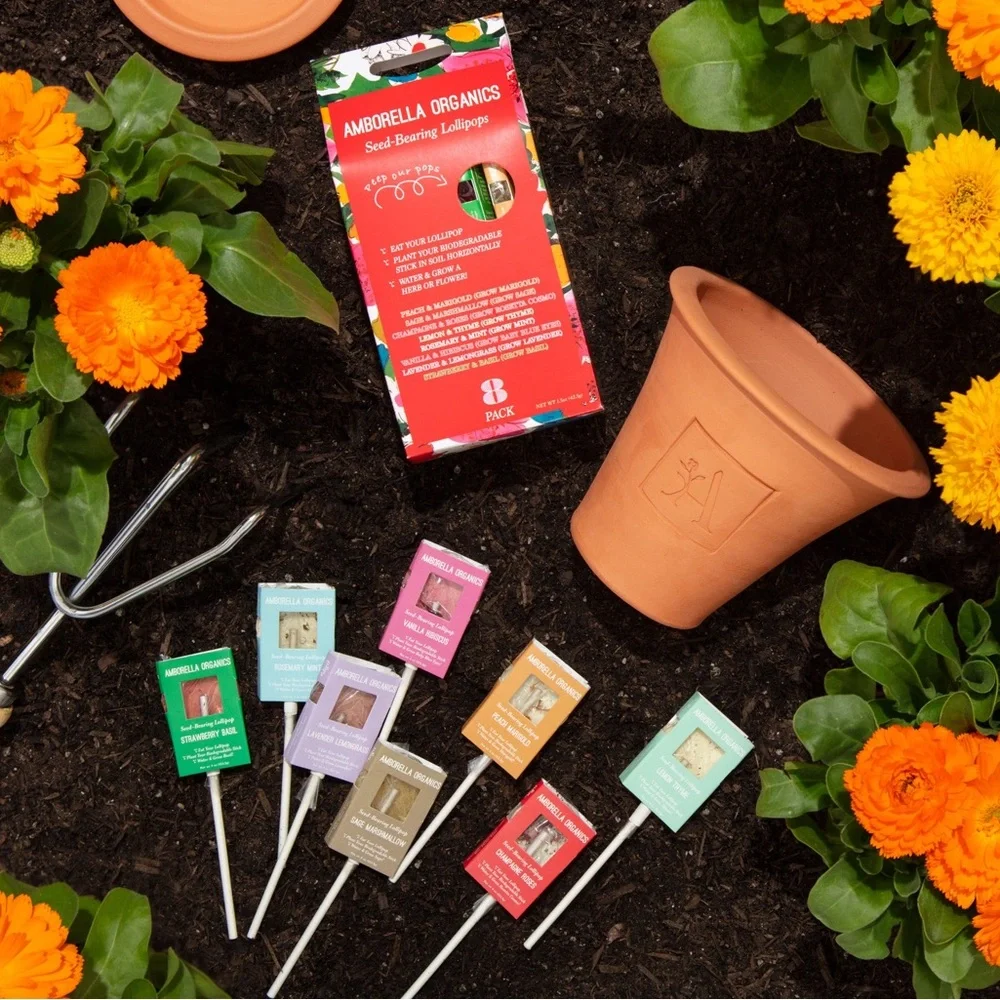 New Amborella Organics Blooming Lollipops Grow Kit - Picture 2 of 8